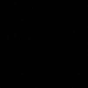 Meet your Posher, Dee